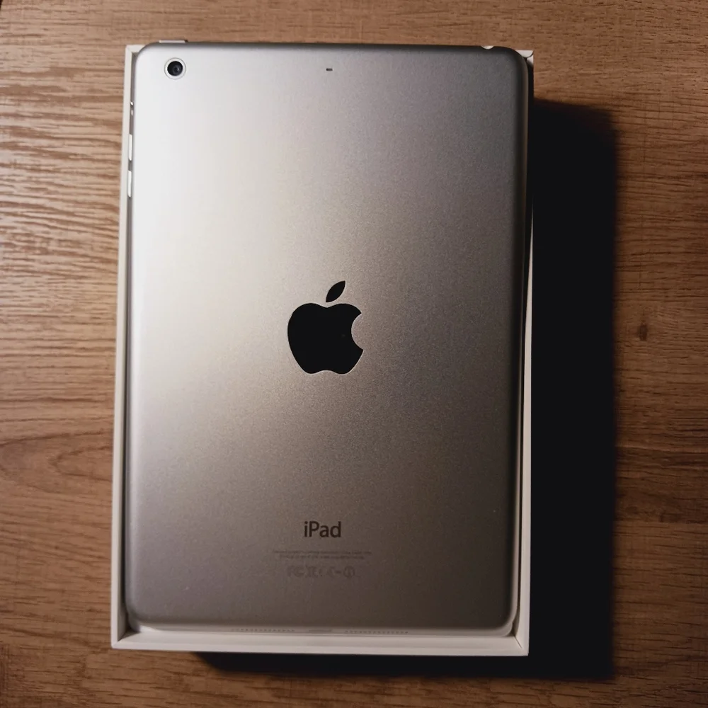 Apple iPad with White Bezel